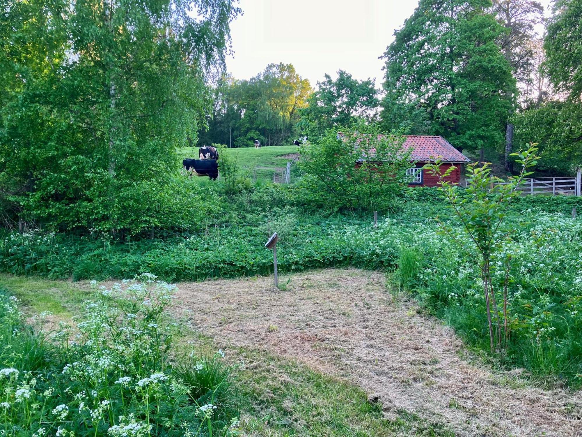 Lidhem Herrgard. Bed & Breakfast Och Mindre Laegenheter Vimmerby Exterior foto