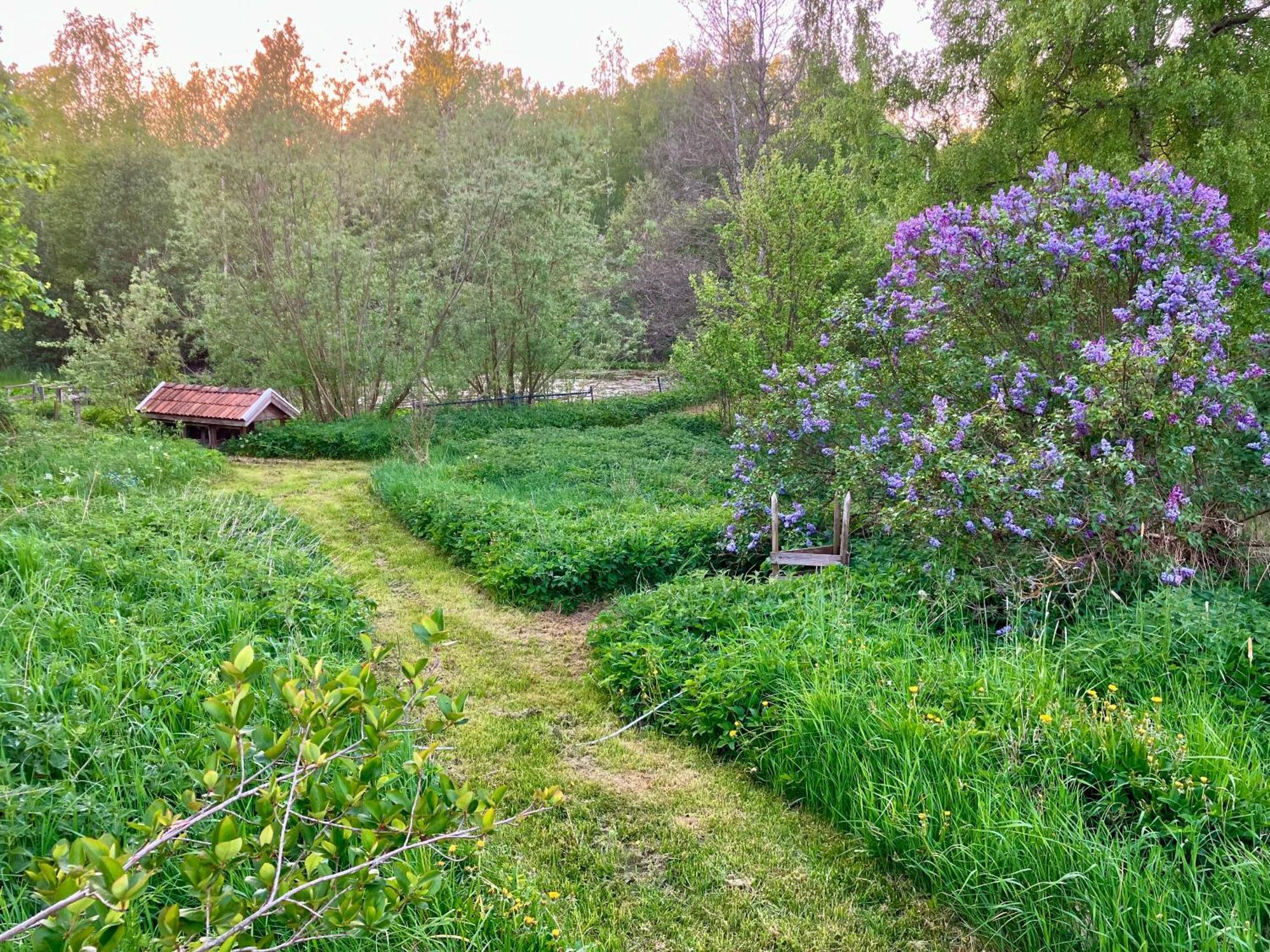 Lidhem Herrgard. Bed & Breakfast Och Mindre Laegenheter Vimmerby Exterior foto