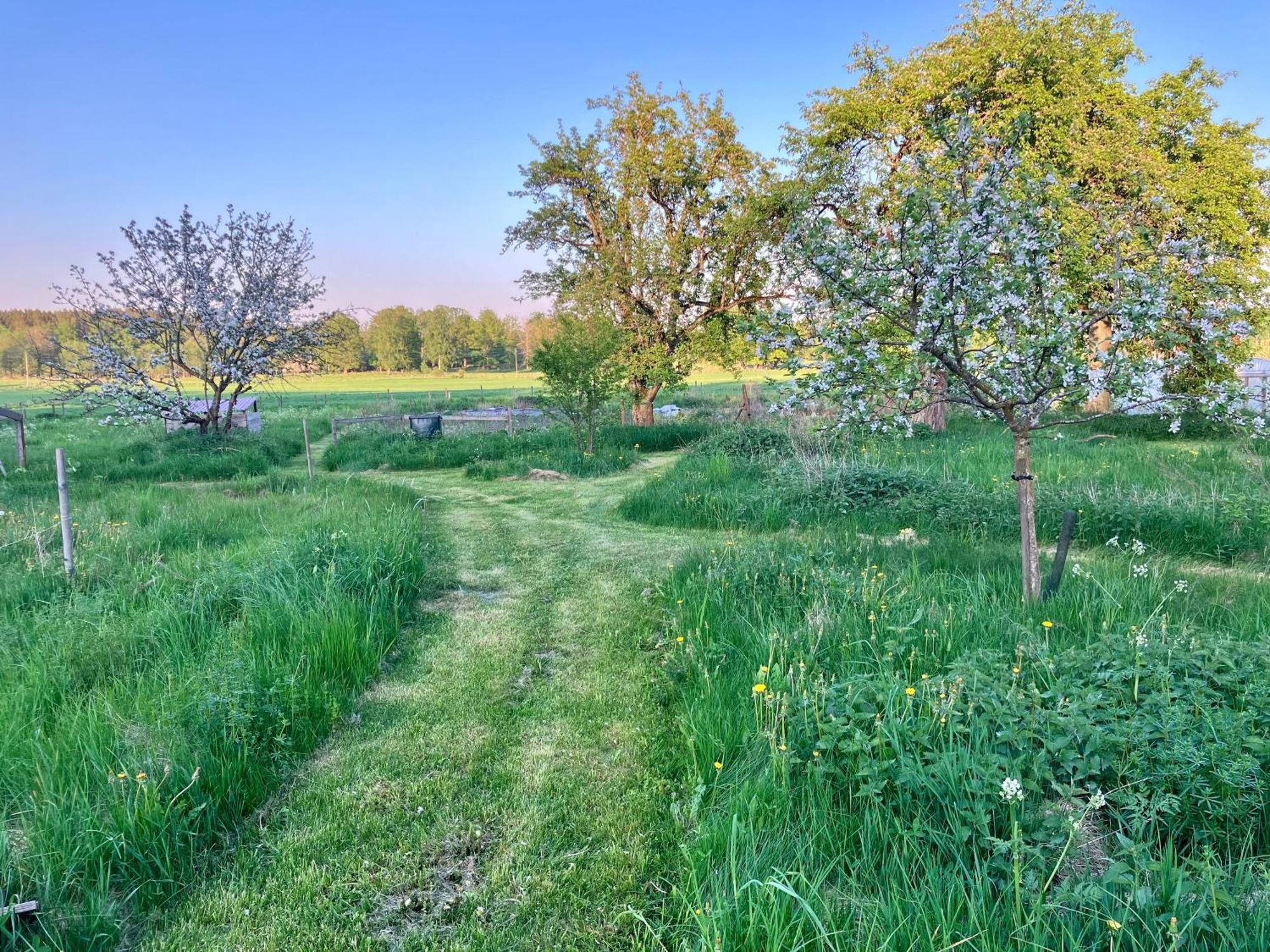 Lidhem Herrgard. Bed & Breakfast Och Mindre Laegenheter Vimmerby Exterior foto