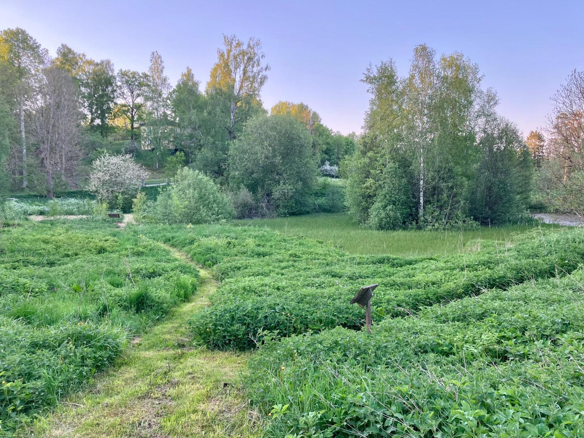 Lidhem Herrgard. Bed & Breakfast Och Mindre Laegenheter Vimmerby Exterior foto