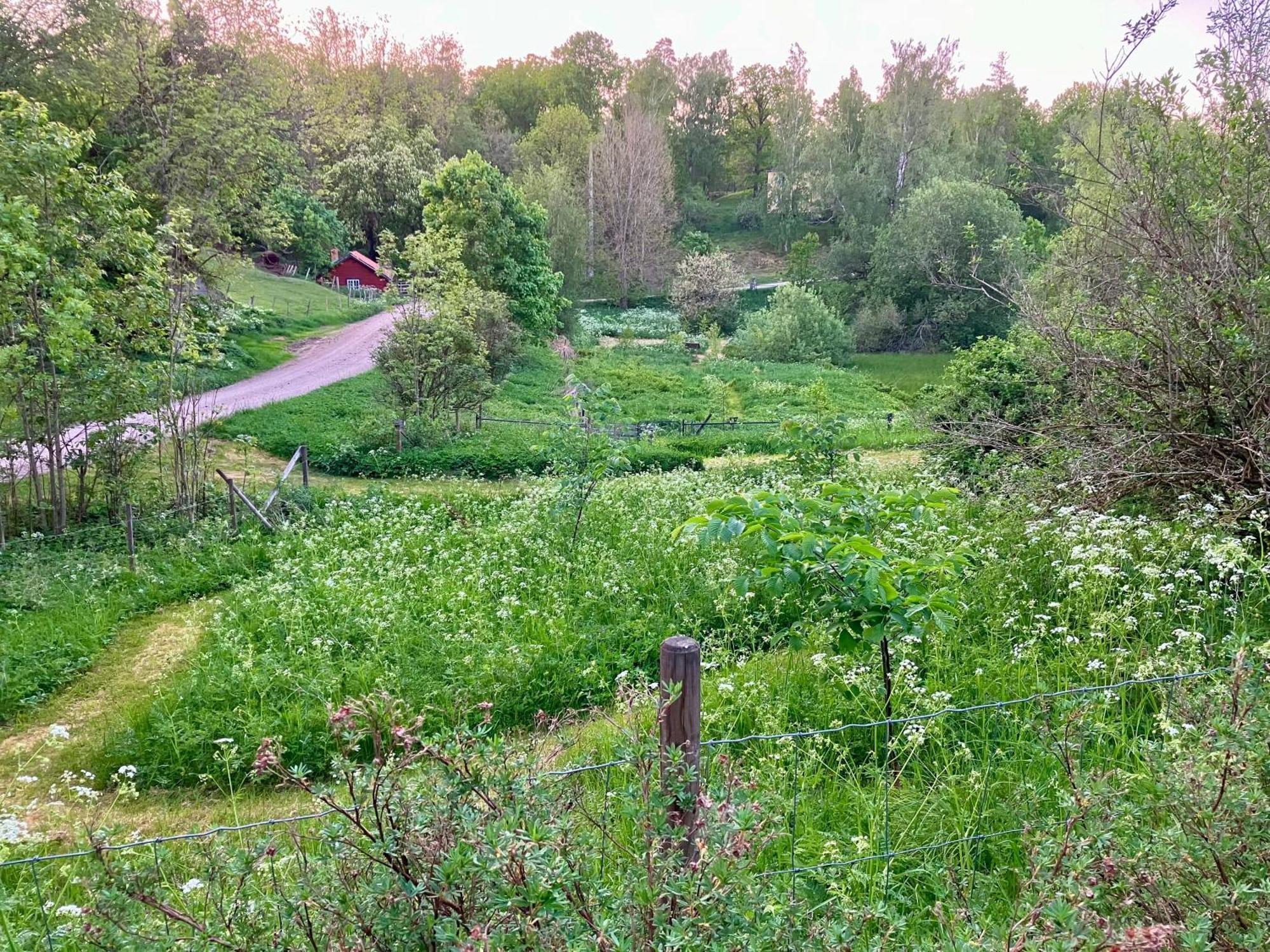 Lidhem Herrgard. Bed & Breakfast Och Mindre Laegenheter Vimmerby Exterior foto