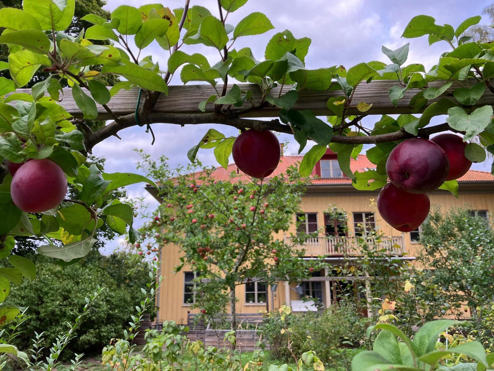 Lidhem Herrgard. Bed & Breakfast Och Mindre Laegenheter Vimmerby Exterior foto